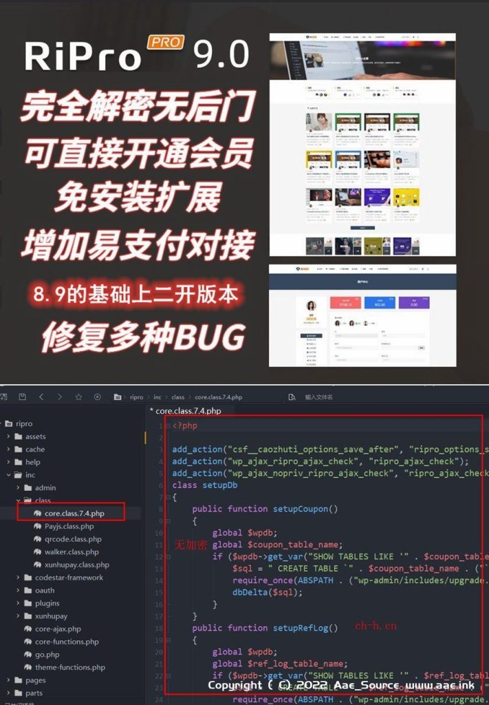 Ripro9.0免扩展二开版/WordPress博客主题Ripro全解密无后门_Aae_Source