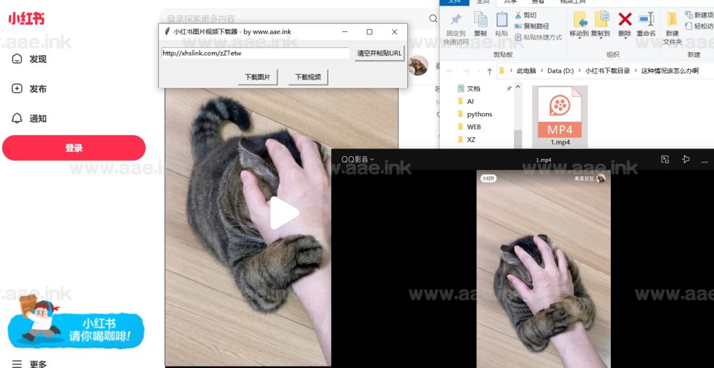 [Python] 开源：小红书无需登录直接下载视频、图片、API版本_Aae_Source