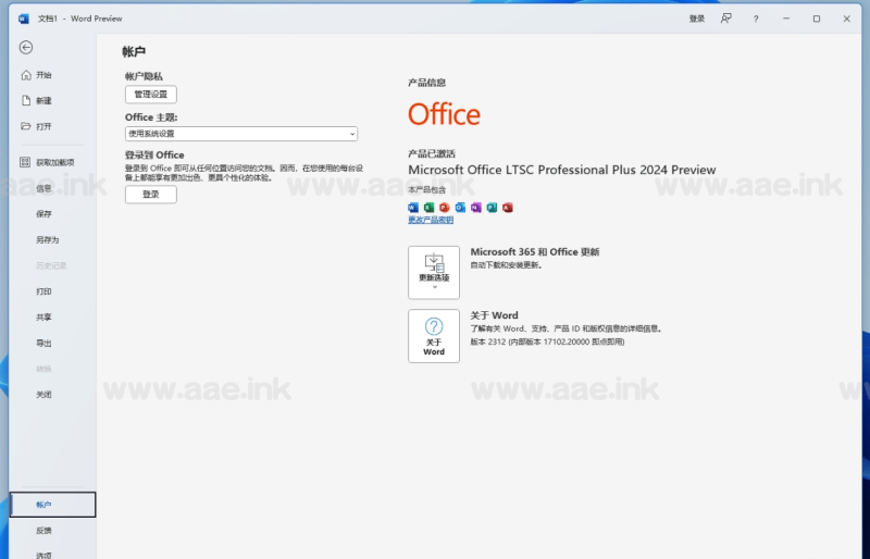 [Windows软件] 微软office 2024体验版_Aae_Source